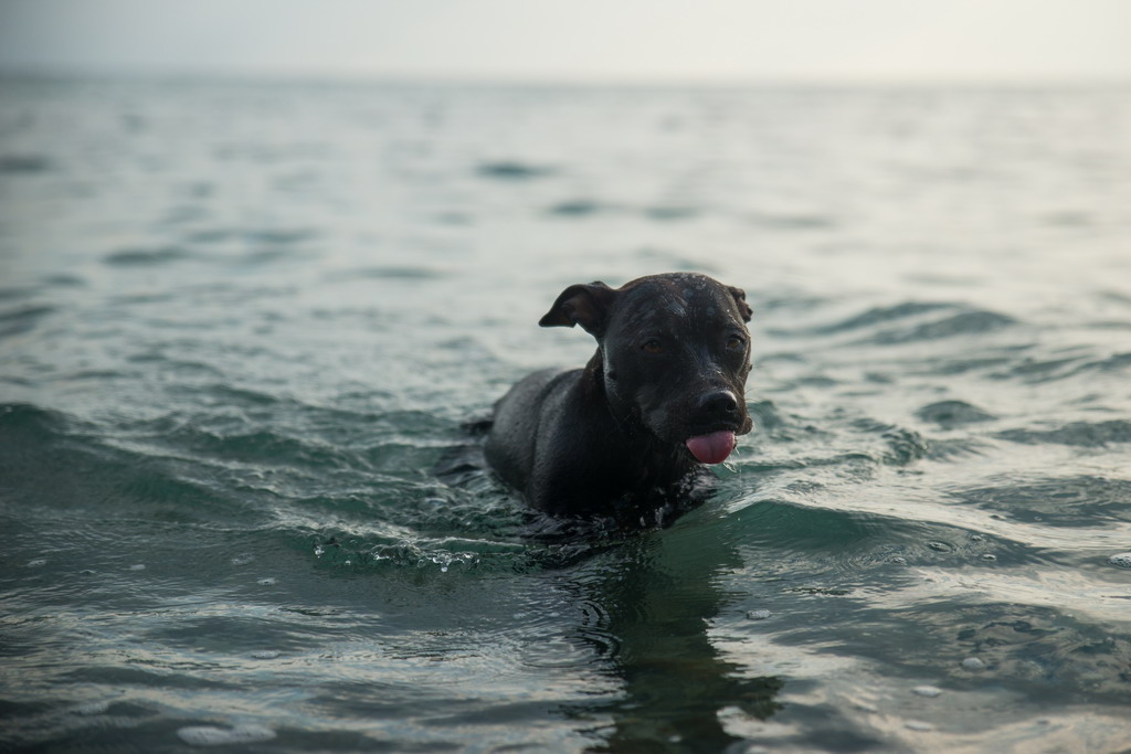  Marta pliva i uživa na moru 